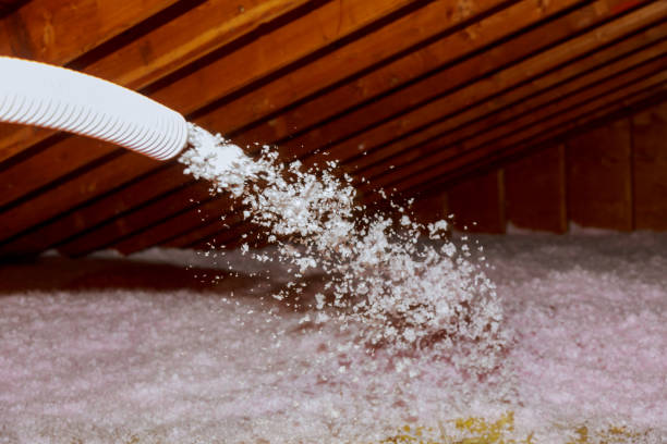 Best Residential Insulation in Chanute, KS
