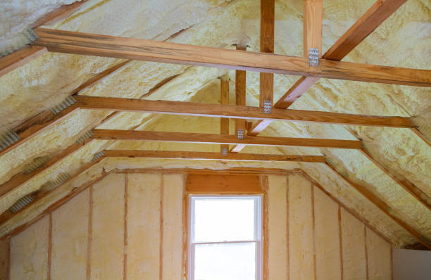 Best Eco-Friendly Insulation in Chanute, KS