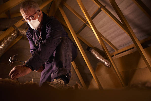 Professional Insulation Contractor in Chanute, KS