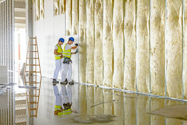 Best Cellulose Insulation in Chanute, KS